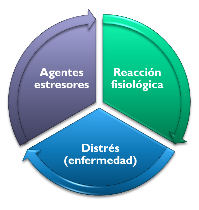 Esa cosa que llamamos estrés – Dra. Humbert – Psiquiatría